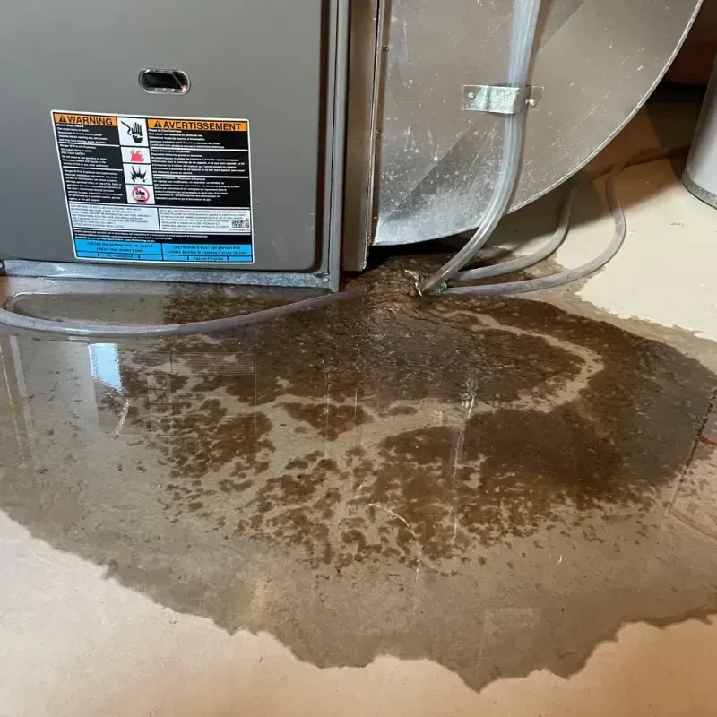 Appliance Leak Cleanup in Trenton, GA